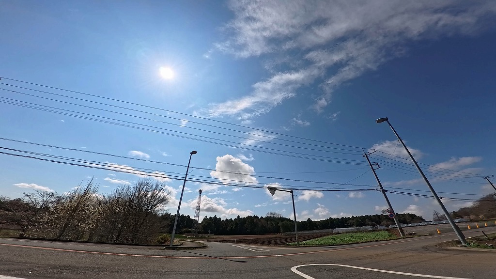 茨城県 メロンロード